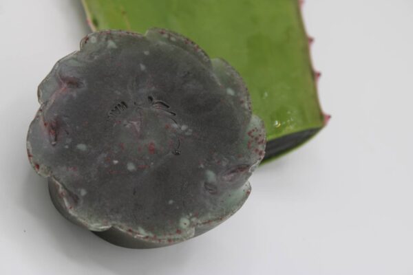 Aloe Vera Soap - Image 2