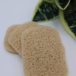 Loofah Soap Dish